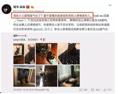 纪伟粉丝爆料视频大全,精彩瞬间回顾